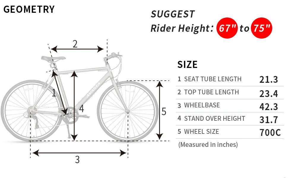 700C Hybrid Bike with 7 Speed for Men-Populus