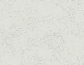 Alchemy Wallpaper in Silver, Grey, and Cream from the Transition Collection