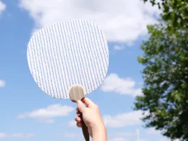 Shogado Hand Fan